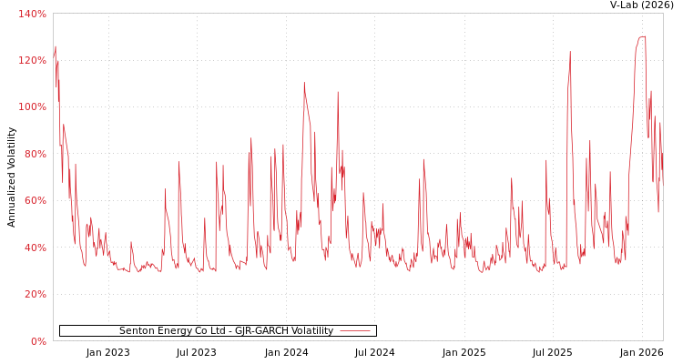 graph of Senton Energy Co Ltd GJR-GARCH