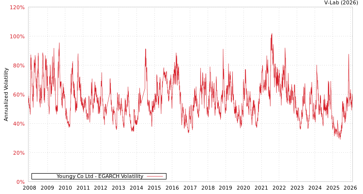 graph of Youngy Co Ltd EGARCH