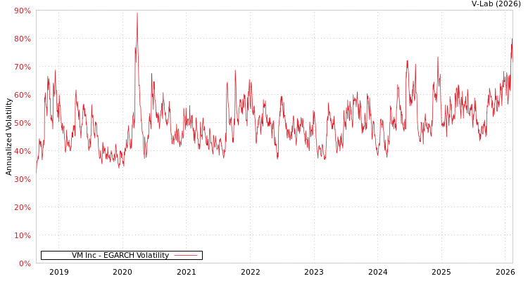 graph of VM Inc EGARCH