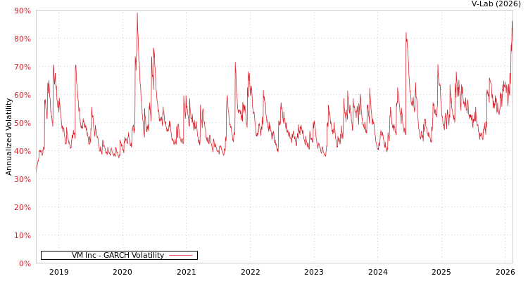 graph of VM Inc GARCH