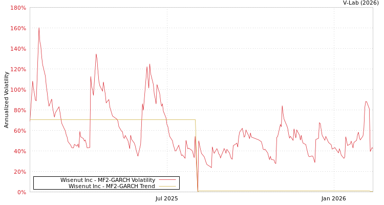 graph of Wisenut Inc MF2-GARCH