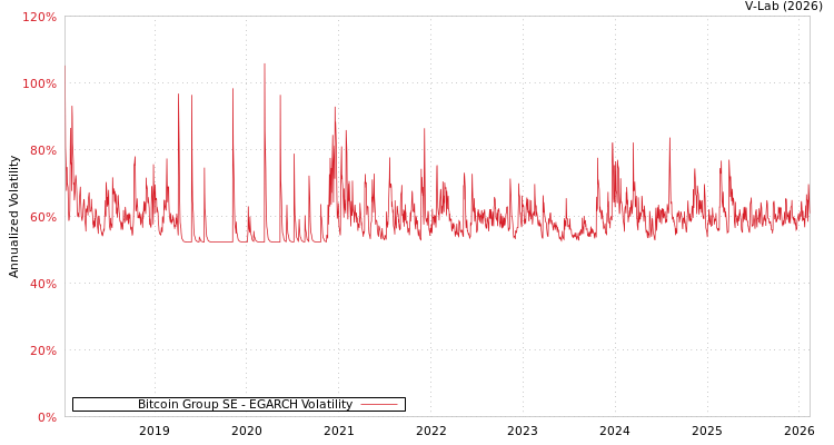 graph of Bitcoin Group SE EGARCH