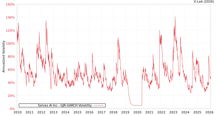 graph of Selvas Ai Inc GJR-GARCH