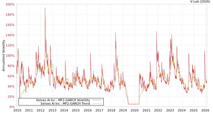 graph of Selvas Ai Inc MF2-GARCH