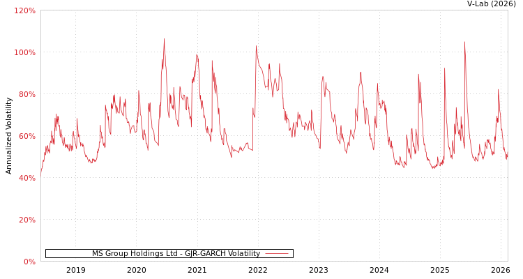 graph of MS Group Holdings Ltd GJR-GARCH