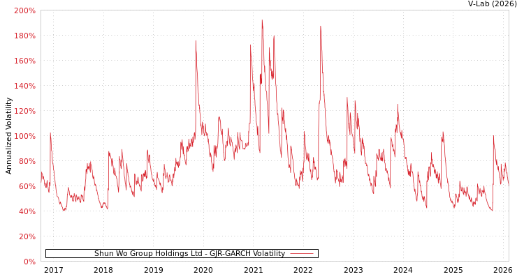 graph of Shun Wo Group Holdings Ltd GJR-GARCH