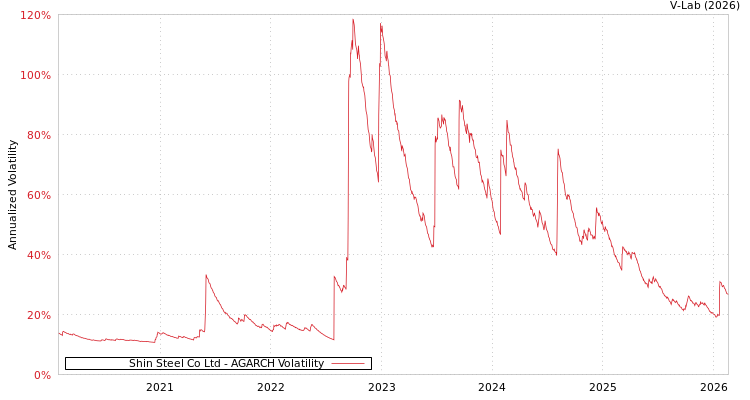 graph of Shin Steel Co Ltd AGARCH