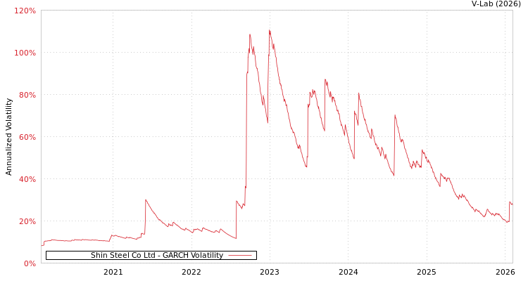 graph of Shin Steel Co Ltd GARCH