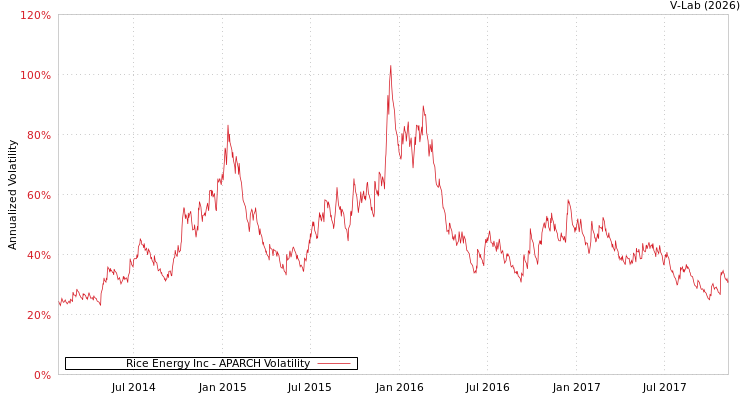 graph of Rice Energy Inc APARCH
