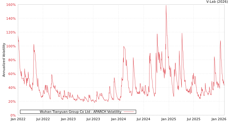 graph of Wuhan Tianyuan Group Co Ltd APARCH