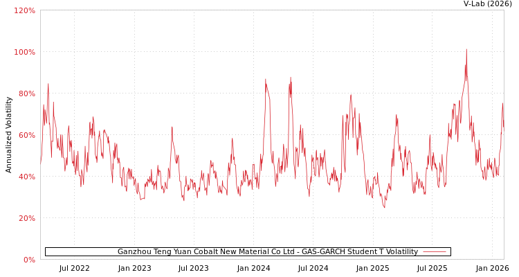 graph of Ganzhou Teng Yuan Cobalt New Material Co Ltd GAS-GARCH-T