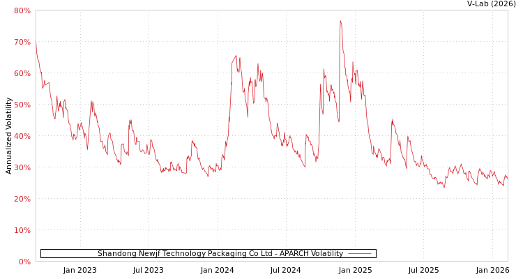 graph of Shandong Newjf Technology Packaging Co Ltd APARCH