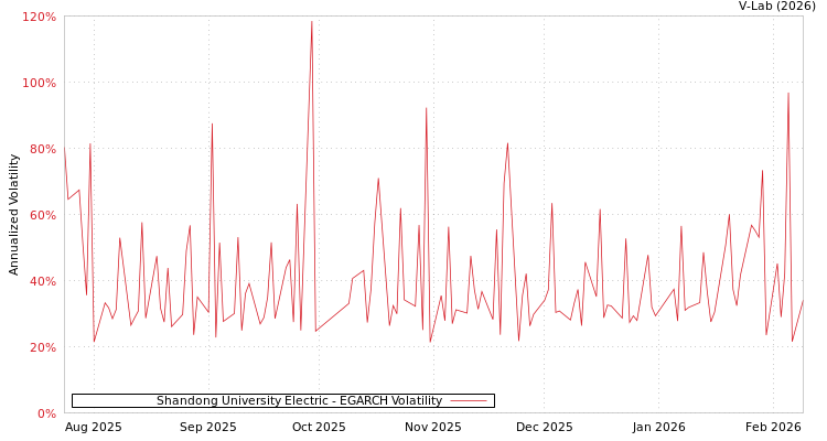 graph of Shandong University Electric EGARCH