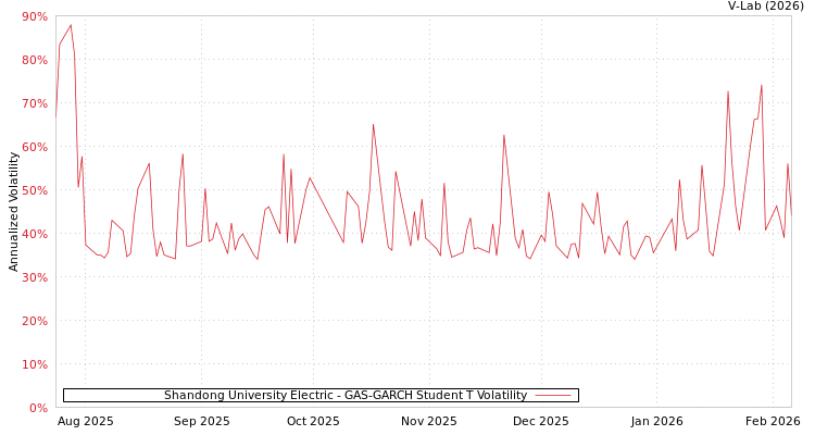 graph of Shandong University Electric GAS-GARCH-T