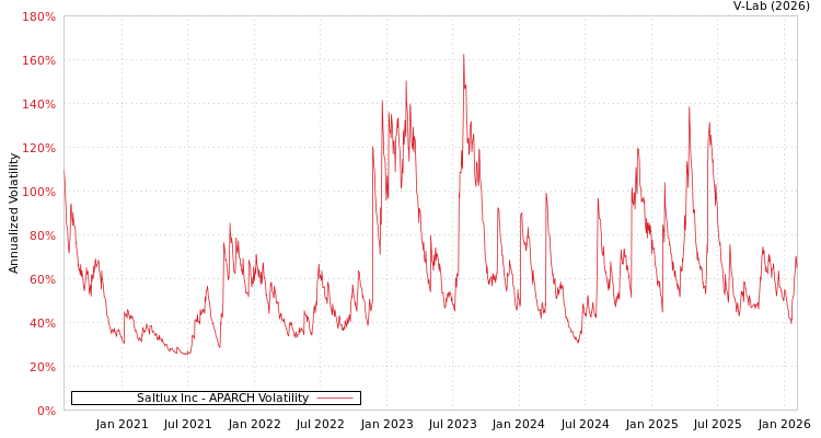 graph of Saltlux Inc APARCH