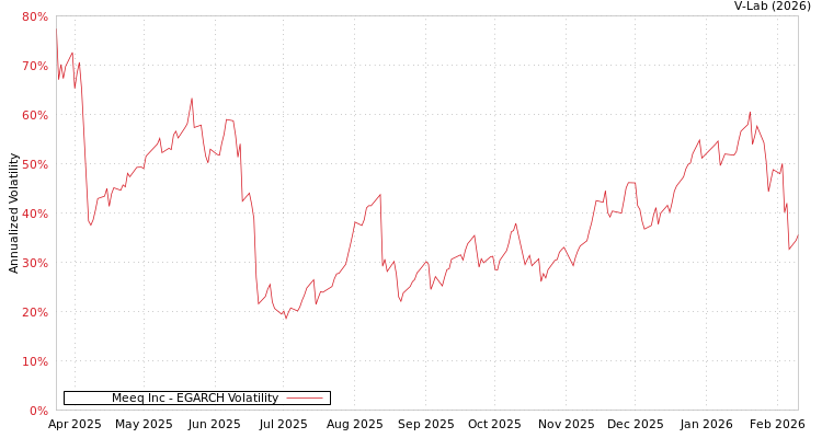 graph of Meeq Inc EGARCH