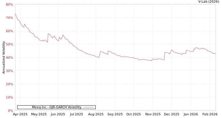 graph of Meeq Inc GJR-GARCH