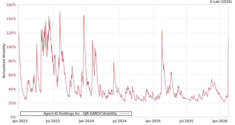 graph of Agent IG Holdings Inc GJR-GARCH