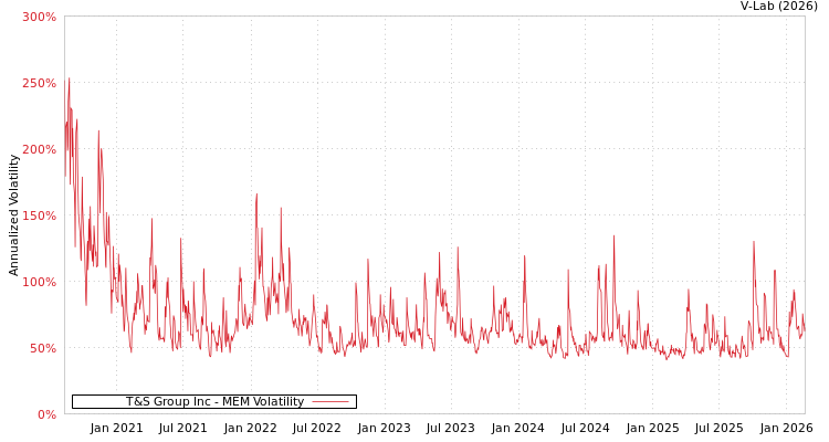 graph of T&S Group Inc MEM