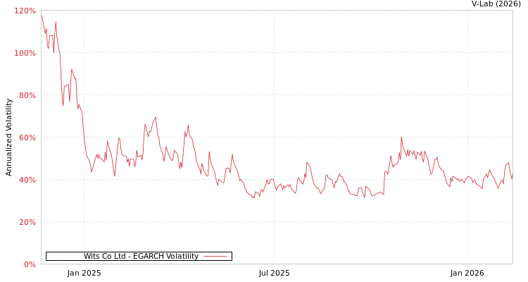 graph of Wits Co Ltd EGARCH