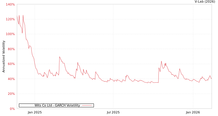 graph of Wits Co Ltd GARCH