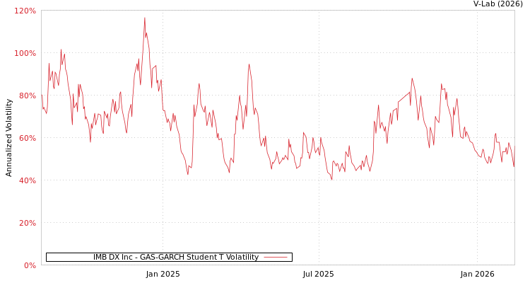 graph of IMB DX Inc GAS-GARCH-T