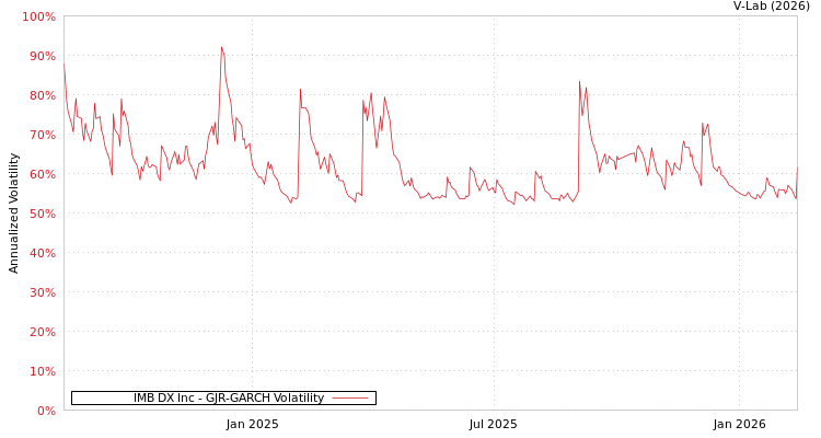 graph of IMB DX Inc GJR-GARCH