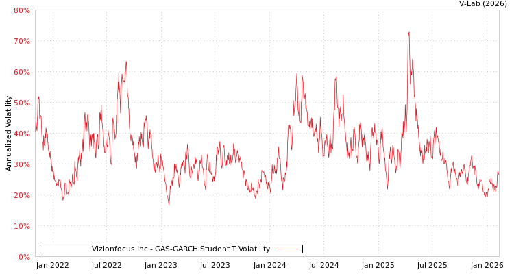 graph of Vizionfocus Inc GAS-GARCH-T