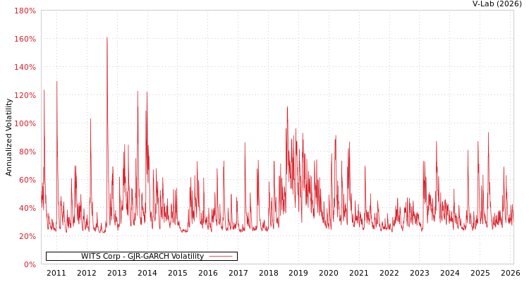 graph of WITS Corp GJR-GARCH