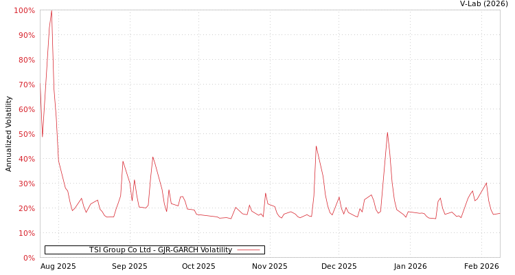 graph of TSI Group Co Ltd GJR-GARCH