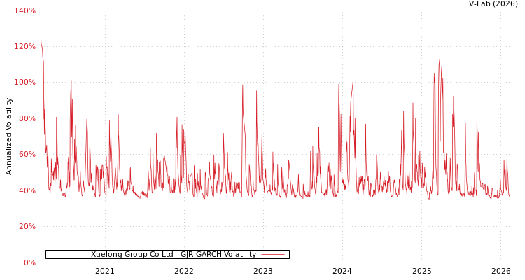 graph of Xuelong Group Co Ltd GJR-GARCH