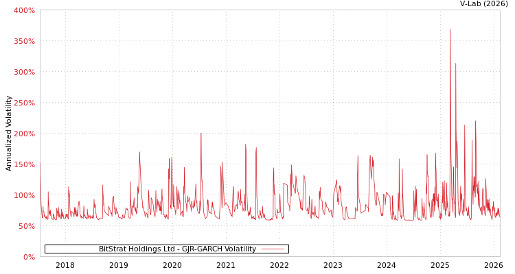 graph of BitStrat Holdings Ltd GJR-GARCH