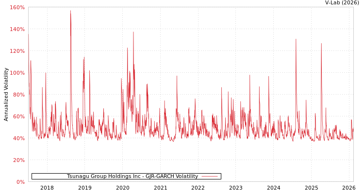 graph of Tsunagu Group Holdings Inc GJR-GARCH