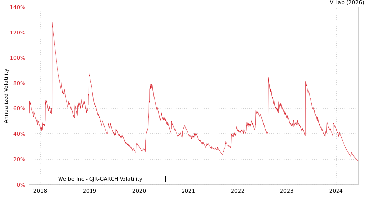 graph of Welbe Inc GJR-GARCH