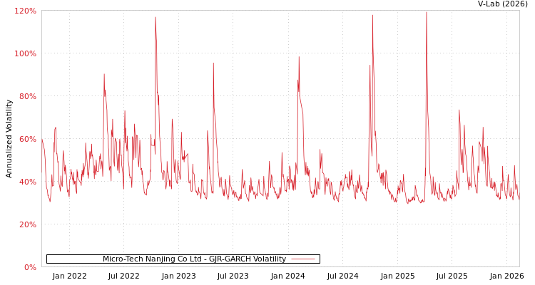 graph of Micro-Tech Nanjing Co Ltd GJR-GARCH