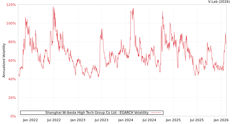 graph of Shanghai W-ibeda High Tech Group Co Ltd EGARCH