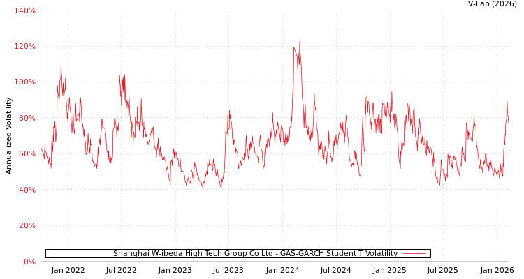 graph of Shanghai W-ibeda High Tech Group Co Ltd GAS-GARCH-T