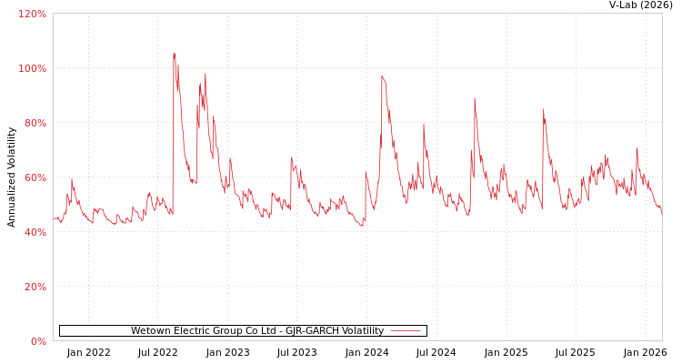 graph of Wetown Electric Group Co Ltd GJR-GARCH