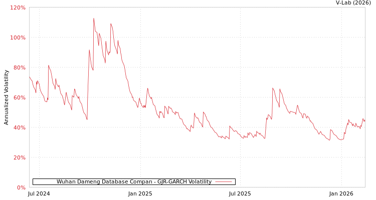 graph of Wuhan Dameng Database Compan GJR-GARCH
