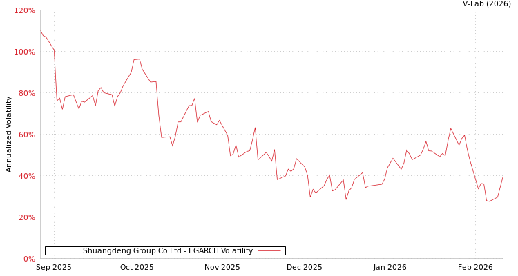 graph of Shuangdeng Group Co Ltd EGARCH