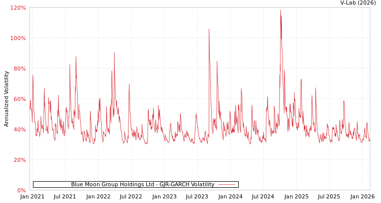 graph of Blue Moon Group Holdings Ltd GJR-GARCH
