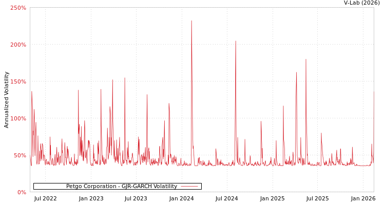 graph of Petgo Corporation GJR-GARCH