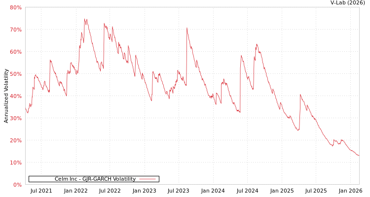 graph of Celm Inc GJR-GARCH