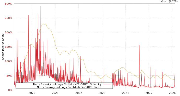 graph of Natty Swanky Holdings Co Ltd MF2-GARCH