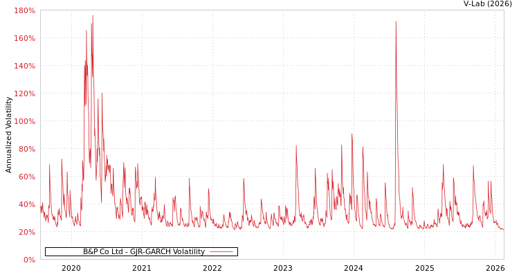 graph of B&P Co Ltd GJR-GARCH