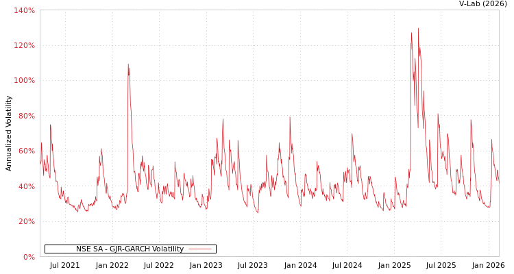 graph of NSE SA GJR-GARCH