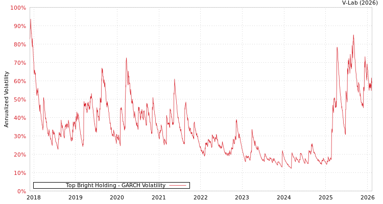 graph of Top Bright Holding GARCH
