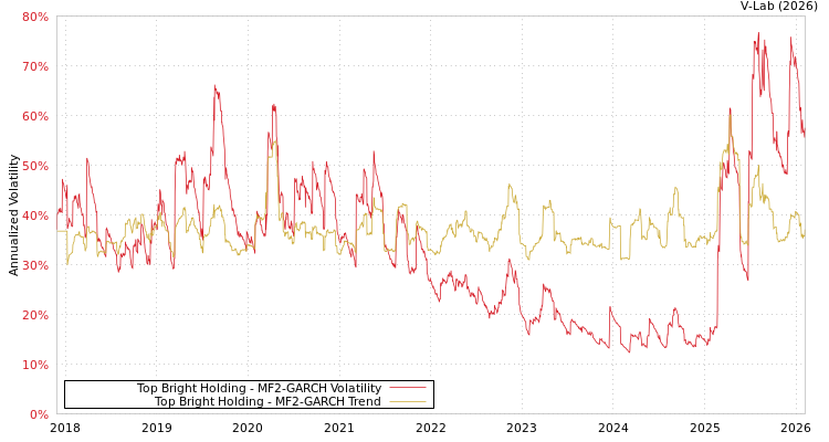 graph of Top Bright Holding MF2-GARCH