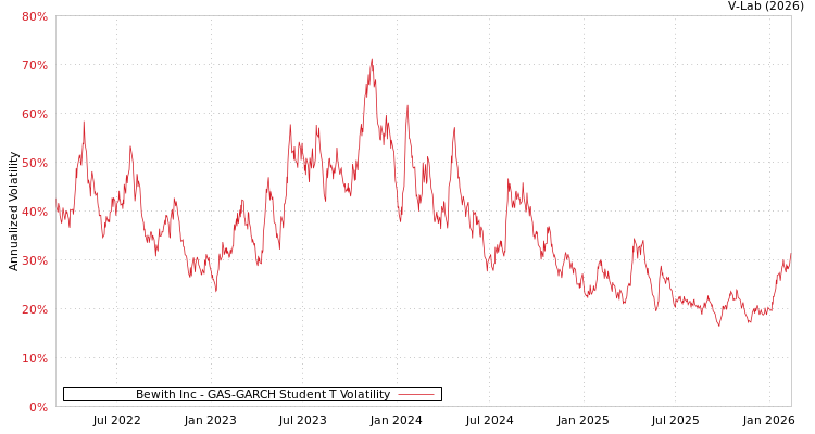 graph of Bewith Inc GAS-GARCH-T