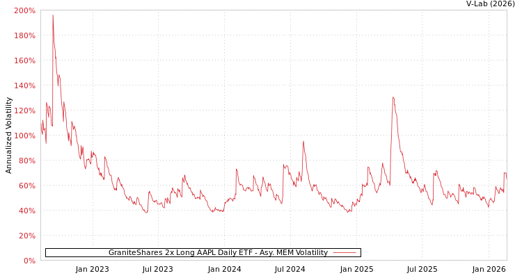 graph of GraniteShares 2x Long AAPL Daily ETF AMEM